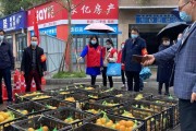 日本爱媛县有哪些街道（金堂哪里种有阳光一号桔柚）