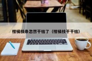 柑橘枝条忽然干枯了（柑橘枝干干枯）