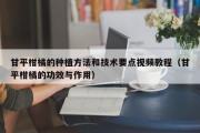 甘平柑橘的种植方法和技术要点视频教程（甘平柑橘的功效与作用）
