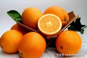 蒸脐橙的功效与作用禁忌和副作用(脐橙怎么蒸给小孩子吃)