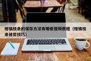 柑橘枝条的保存方法有哪些视频教程（柑橘枝条修剪技巧）