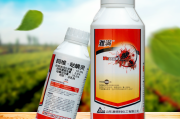 杀柑橘红蜘蛛药配方用量(杀柑橘红蜘蛛药配方用量多少克)