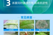 柑橘白粉病特效药有哪些图片及名称及作用(柑橘树白粉病用什么药?)