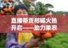直播带货柑橘火热开启——助力果农增收，新鲜直达千家万户！