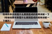 柑橘枝条长刺是什么原因造成的视频讲解一下（柑橘枝条长刺是什么原因造成的视频讲解一下图片）