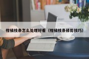 柑橘枝条怎么处理好看（柑橘枝条修剪技巧）