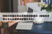 柑橘枝条粗壮怎么办视频讲解图片（柑橘枝条粗壮怎么办视频讲解图片大全）