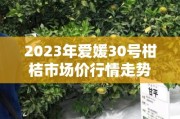 2023年爱媛30号柑桔市场价行情走势及影响因素深度分析