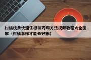 柑橘枝条快速生根技巧和方法视频教程大全图解（柑橘怎样才能长好根）