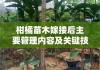 柑橘苗木嫁接后主要管理内容及关键技术措施解析