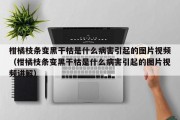 柑橘枝条变黑干枯是什么病害引起的图片视频（柑橘枝条变黑干枯是什么病害引起的图片视频讲解）