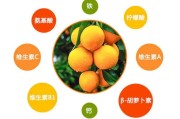 脐橙十大好处是什么(脐橙好不好)