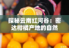 探秘云南红河谷：密达柑橘产地的自然馈赠与甜蜜宝藏