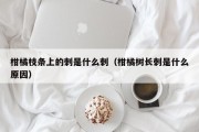 柑橘枝条上的刺是什么刺（柑橘树长刺是什么原因）