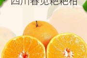 春见适宜在湖北种植吗冬天(春见能在广东种植吗)