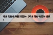 明日见柑橘种植新品种（明日见柑橘品种视频）