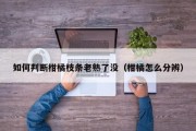 如何判断柑橘枝条老熟了没（柑橘怎么分辨）