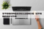 甘平柑橘的种植条件和方法视频介绍（甘平柑橘的功效与作用）
