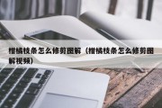 柑橘枝条怎么修剪图解（柑橘枝条怎么修剪图解视频）