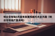 明日见柑橘8月底有裂果吗图片大全大图（明日见柑橘产量高吗）