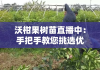 沃柑果树苗直播中：手把手教您挑选优质种苗，科学种植技巧全解析