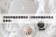 沃柑的种植及管理技术（沃柑的种植技术及注意事项）