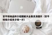 甘平柑橘品种介绍图解大全集高清图片（甘平柑橘介绍多少钱一斤）
