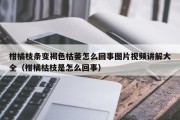 柑橘枝条变褐色枯萎怎么回事图片视频讲解大全（柑橘枯枝是怎么回事）