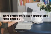 四川甘平柑橘好吃吗视频大全图片欣赏（甘平柑橘优点与缺点）
