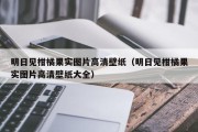明日见柑橘果实图片高清壁纸（明日见柑橘果实图片高清壁纸大全）