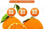 耙耙柑2月份还好么(耙耙柑什么季节收获?)
