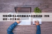 柑橘枝条怎么修剪图解法大全视频讲解（柑橘修剪一干三支法）