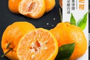 春见粑粑柑为什么有甜有酸的(春见粑粑柑是丑八怪吗)