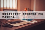 柑橘枝条如何保存好一点视频教程大全（柑橘树上保鲜方法）