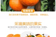 四川正宗耙耙柑价格(四川耙耙柑介绍)