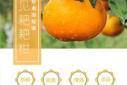 今年春见行情预测(金乡大蒜今日价格行情)