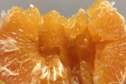 耙耙柑粑粑柑哪个写法对(耙耙柑的耙字怎么读)