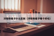 沃柑和橘子什么区别（沃柑和橘子哪个好吃）