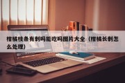 柑橘枝条有刺吗能吃吗图片大全（柑橘长刺怎么处理）