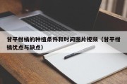 甘平柑橘的种植条件和时间图片视频（甘平柑橘优点与缺点）