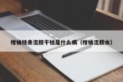 柑橘枝条流胶干枯是什么病（柑橘流胶水）
