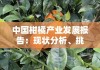中国柑橘产业发展报告：现状分析、挑战机遇与未来趋势展望