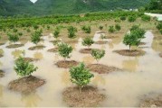 柑橘栽培技术培训考试题及答案大全解析（对柑橘树影响最大因素是什么）