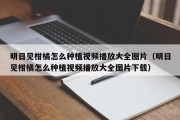 明日见柑橘怎么种植视频播放大全图片（明日见柑橘怎么种植视频播放大全图片下载）