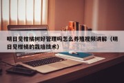 明日见柑橘树好管理吗怎么养殖视频讲解（明日见柑橘的栽培技术）