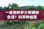 一亩地种多少柑橘树合适？科学种植密度解析与栽培建议