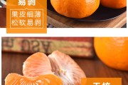 浙江省涌泉蜜桔生产地在哪里啊电话(涌泉蜜桔产地在哪个省)