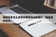 柑橘枝条怎么修剪好看视频讲解图片（柑橘修剪枝术）