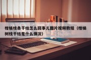 柑橘枝条干枯怎么回事儿图片视频教程（柑橘树枝干枯是什么情况）