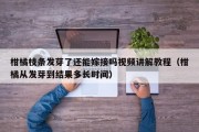 柑橘枝条发芽了还能嫁接吗视频讲解教程（柑橘从发芽到结果多长时间）